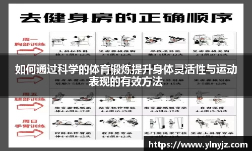 雷竞技官网入口