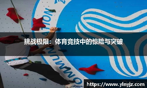 雷竞技官网入口