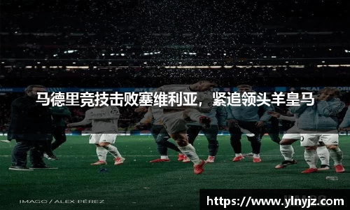 雷竞技官网平台