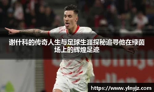 雷竞技·RAYBET(中国)官方网站-电子竞技平台