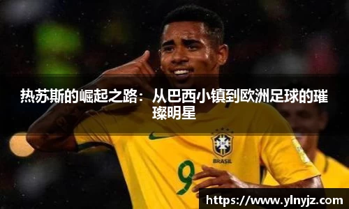 雷竞技官网入口